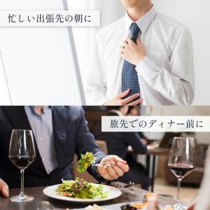 サンコー THANKO ミニ アイロン 海外対...の詳細画像5