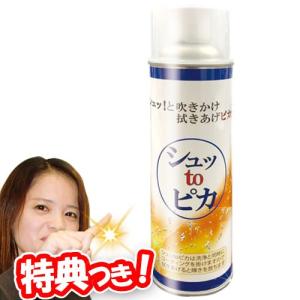 シュッtoピカ シュットピカ スプレー 洗浄+コーティング