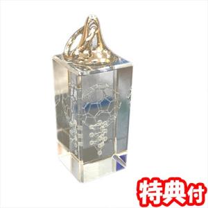 対象商品2点購入で10%OFF☆21日まで】模型 3Dカバラ パドマ