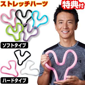 保阪尚希 ストレッチハーツ ハード / ソフト 肩甲骨 保阪尚希 肩甲骨 背中 肩 ほぐし 骨盤はがし 全身ストレッチ エクササイズ