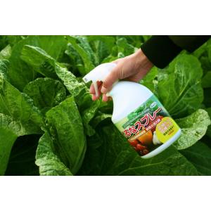 くるなスプレー 900ml 家庭菜園 野菜の活...の詳細画像1