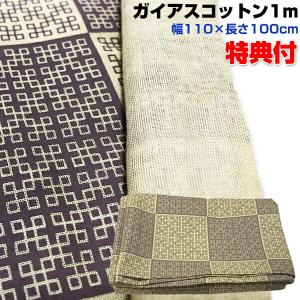 正規販売店 模型 ミスマルノタマX (送料無料) 立体 クスリエ