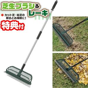 伸縮式 芝生ブラシ＆レーキ 芝ブラシ レーキ ガーデニング
