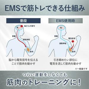 ティップシェイププロ EMS インナーマッスル...の詳細画像3