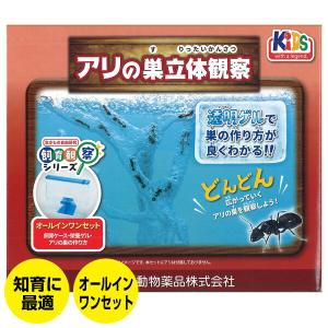 アリの巣　観察セット×4 アリの巣観察キット