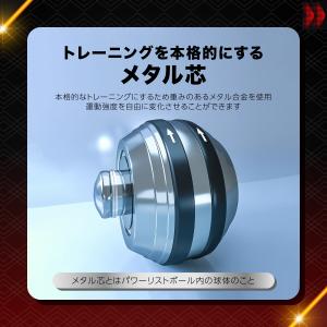 パワーボール 筋トレ トレーニング リストボー...の詳細画像2