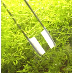 水槽お掃除 ピンセットキャップ 3セット アクアリウム 水草レイアウト 糸状コケ アオミドロ コケ取り Bz002 マツイオンラインショップ 通販 Yahoo ショッピング