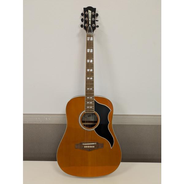 EKO エコー　アコースティックギター　Ranger VI VR NA