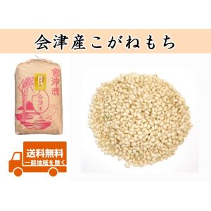 令和7年産 会津産 ちほみのり 玄米30kg 1等or調製 ※コイン精米サービス