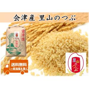 さがびより 【令和7年産】【1等米限定】【佐賀から直送】さがびより