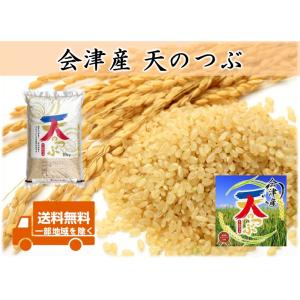 令和7年産 会津産 天のつぶ 玄米30kg 1等or調製 ※コイン精米サービス