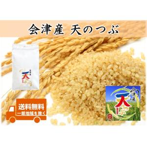 令和8年産新米 会津産 天のつぶ 玄米10kg ※コイン精米サービス(白米9kg弱) ＋袋小分け対応...