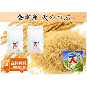 令和8年産新米 会津産 天のつぶ 玄米20kg(10kg×2) ※コイン精米サービス(白米18kg弱...