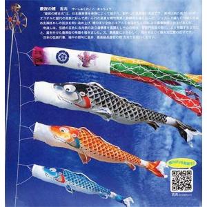 3m ゴールド 鯉のぼり アルミポール付 庭園セット 打込み杭式