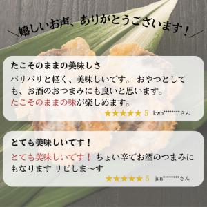 たこせんべい せんべい お返し お菓子 煎餅 ...の詳細画像3