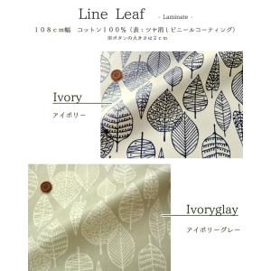 【丸巻き発送】ツヤ消しラミネート ラインリーフ...の詳細画像1