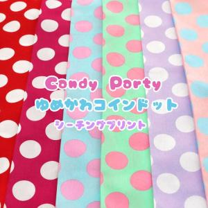 Candy Party『 ゆめかわ◇コインドット...の商品画像
