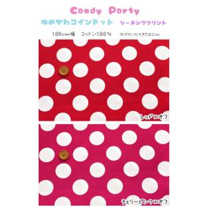 Candy Party『 ゆめかわ◇コインドッ...の詳細画像1