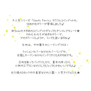 Candy Party『 ゆめかわ◇コインドッ...の詳細画像4
