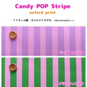 キャンディーポップストライプ オックスプリント生地の詳細画像1