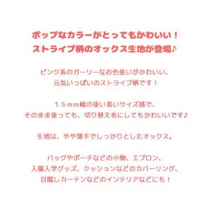 キャンディーポップストライプ オックスプリント生地の詳細画像3