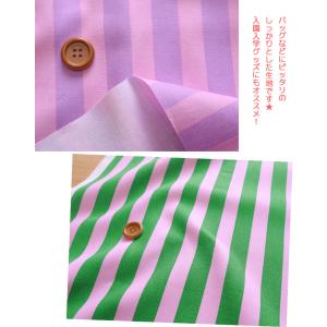 キャンディーポップストライプ オックスプリント生地の詳細画像4
