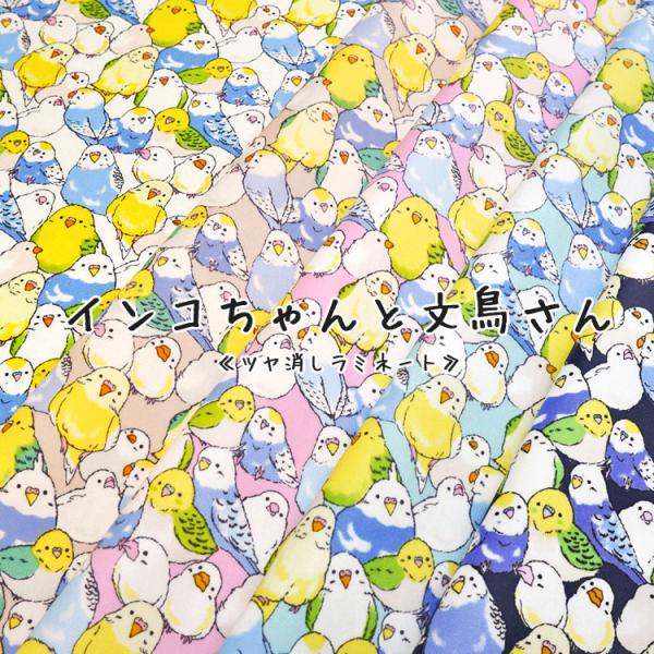 【丸巻き発送】ツヤ消しラミネート インコちゃんと文鳥さん オックスプリント