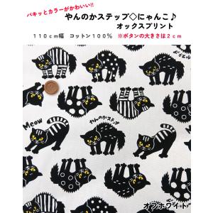 パキッとカラーがかわいい!! やんのかステップ...の詳細画像1