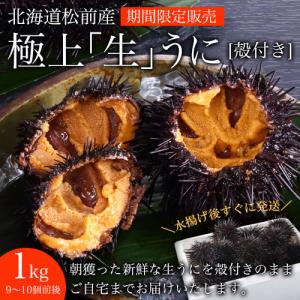 北海道産 極上生ウニ 殻付き（キタムラサキウニ）1kg