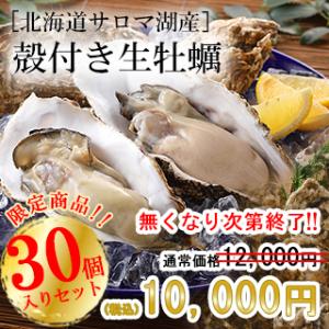 生牡蠣30個セット 北海道サロマ湖産（活・殻付き） 生カキ