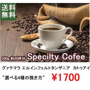 トップスペシャリテイコーヒー！グァテマラ コーヒー コーヒー豆 珈琲豆 グァテマラ エルインフェルト...