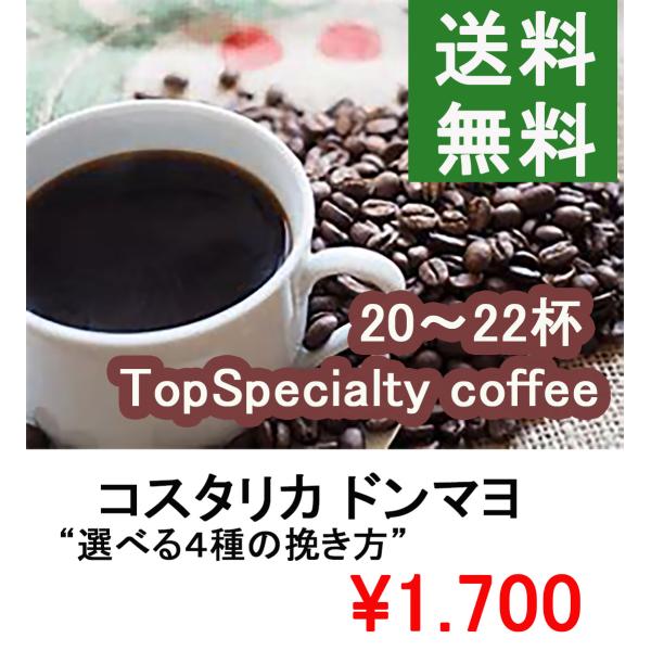 コスタリカ トップスペシャルティ コーヒー 2０0g コーヒー豆 珈琲豆  コスタリカ ドン・リト　...