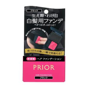 SHISEIDO（資生堂） ネールファイルNA 501 : 化粧品のクロバー