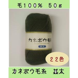 カネボウ毛糸（ベルクリヤーン）　並太　５０ｇ 毛100%　２２色｜matsumoto-syugeiten