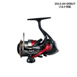 １３　ダイワ　イージス　ＤＡＩＷＡ　ＡＥＧＩＳ　１００３ＲＨ｜matsumoto