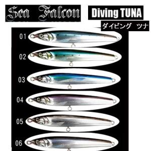 SOULS KANADE ソウルズ カナデ 185−110G CLASS : 松本