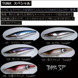 ノースクラフト セグロ(NORTH CRAFT SEGRO) 110S(42g