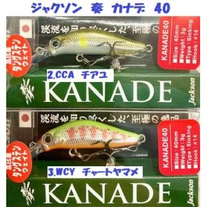 （クリックポスト発送）ジャクソン　奏　カナデ　40　/ Jackson Kanade