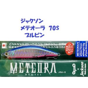 Abu Garcia Diplomat BORON アブガルシア ディプロマット ボロン DBS