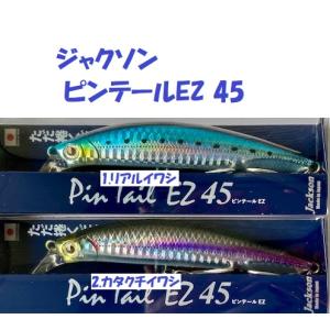 VIBRATION ジャッカル☆TN60サイレント☆#ライキリシブキン☆ : ルアー