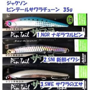 （クリックポスト発送）ジャクソン　ピンテールサワラチューン　35g  / Jackson Pin T...