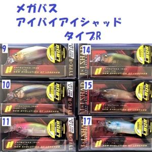 Megabass（メガバス） ドラム120SD / Megabass DORUM : 松本釣具店