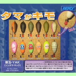 クリックポスト発送可）レーベル タドフライ / REBEL TADFRY : 松本