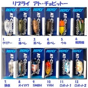 クリックポスト発送可）レーベル タドフライ / REBEL TADFRY : 松本