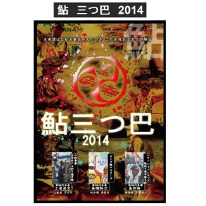 2015年発売　釣りビジョン　鮎釣りDVD　鮎三つ巴　2014｜matsumoto