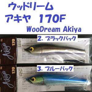 ウッドリーム　アキヤ　１７０Ｆ　/WooDream Akiya｜matsumoto