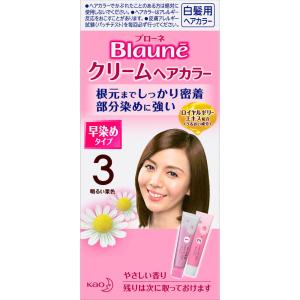 花王 ブローネ クリームヘアカラー 3明るい栗色 40g×2