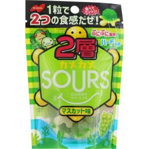 ノーベル製菓 2層カメカメサワーズ マスカット 45g