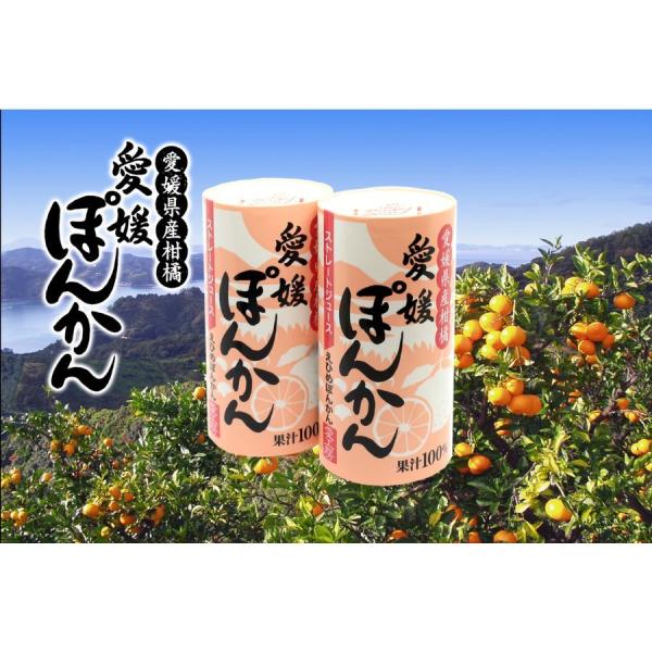 愛工房 愛媛ぽんかん ストレートジュース 125ml×30本セット