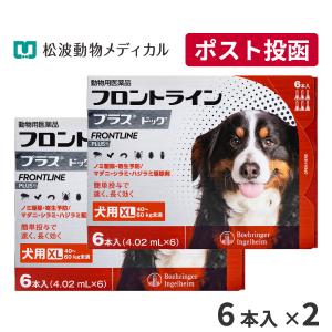 ゆうパケット(宅配便同梱不可)【2箱セット】フロントラインプラス 犬用 XL (40〜60kg) 6本入 動物用医薬品